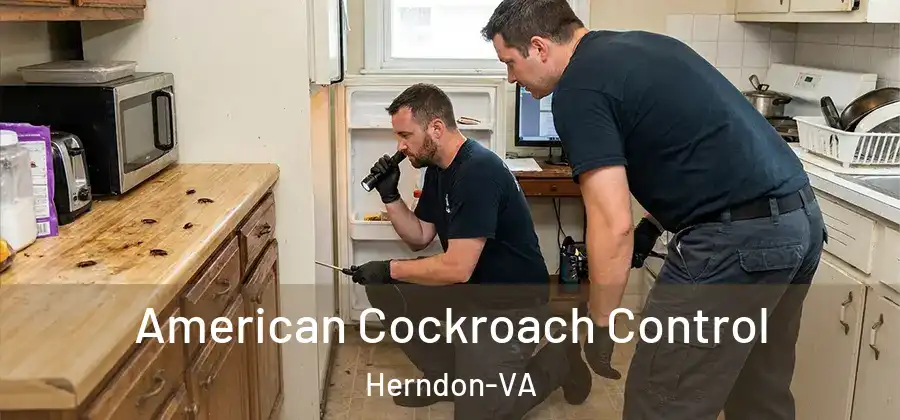  American Cockroach Control Herndon-VA