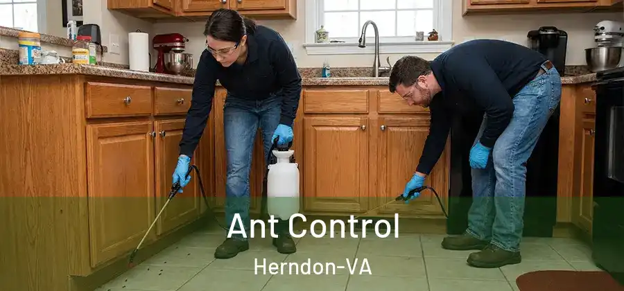  Ant Control Herndon-VA