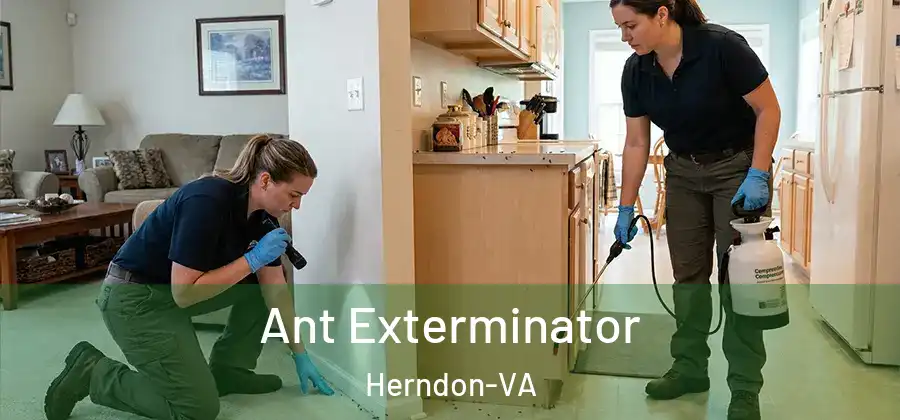  Ant Exterminator Herndon-VA