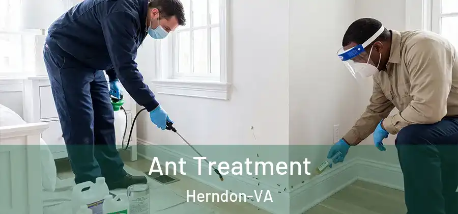  Ant Treatment Herndon-VA