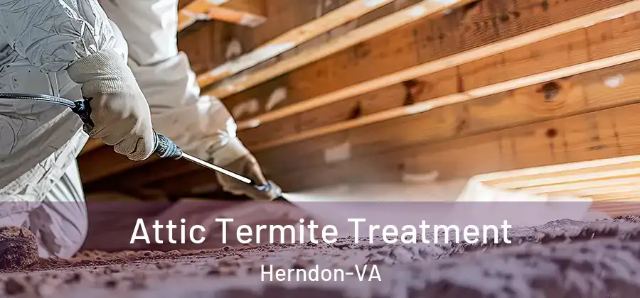  Attic Termite Treatment Herndon-VA