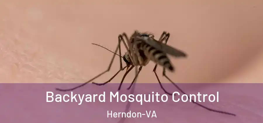  Backyard Mosquito Control Herndon-VA