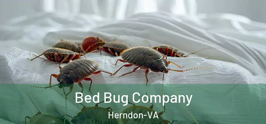  Bed Bug Company Herndon-VA