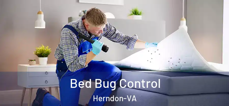 Bed Bug Control Herndon-VA