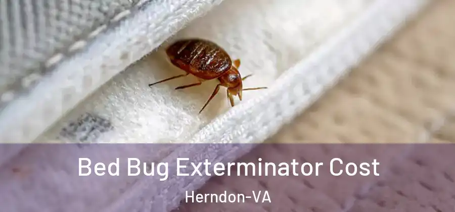  Bed Bug Exterminator Cost Herndon-VA