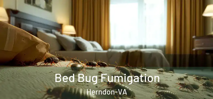  Bed Bug Fumigation Herndon-VA