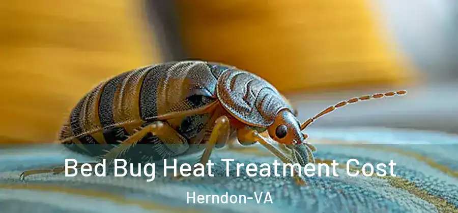  Bed Bug Heat Treatment Cost Herndon-VA