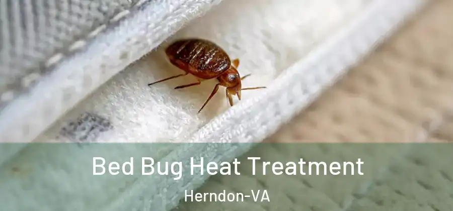  Bed Bug Heat Treatment Herndon-VA