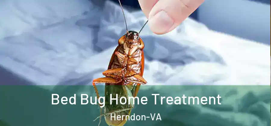  Bed Bug Home Treatment Herndon-VA