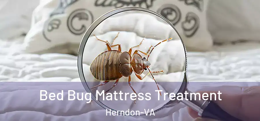 Bed Bug Mattress Treatment Herndon-VA
