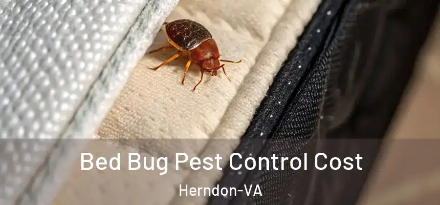  Bed Bug Pest Control Cost Herndon-VA