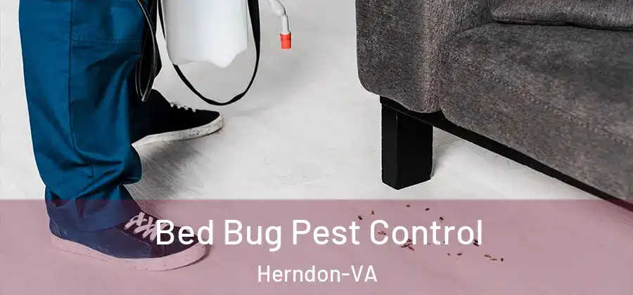  Bed Bug Pest Control Herndon-VA