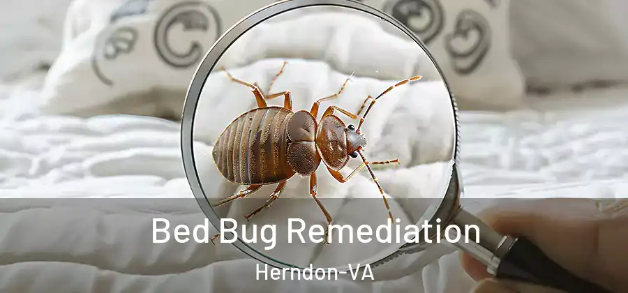  Bed Bug Remediation Herndon-VA