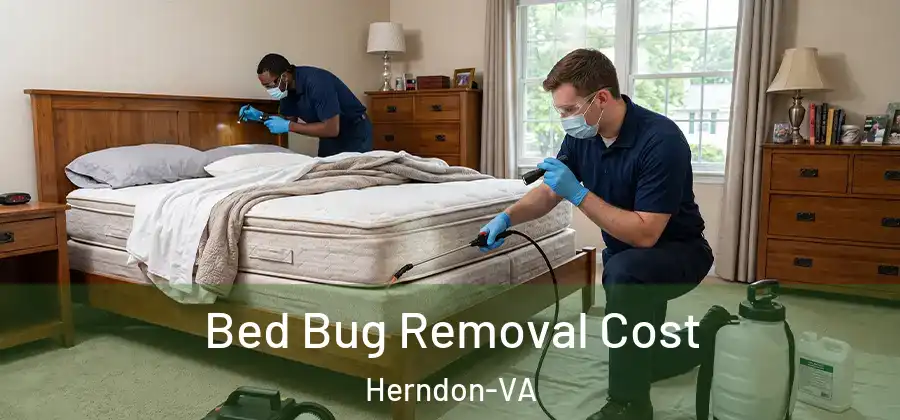  Bed Bug Removal Cost Herndon-VA