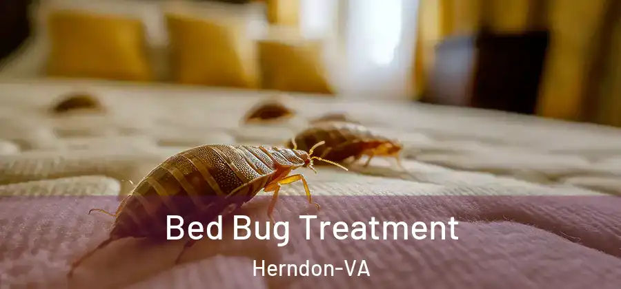  Bed Bug Treatment Herndon-VA