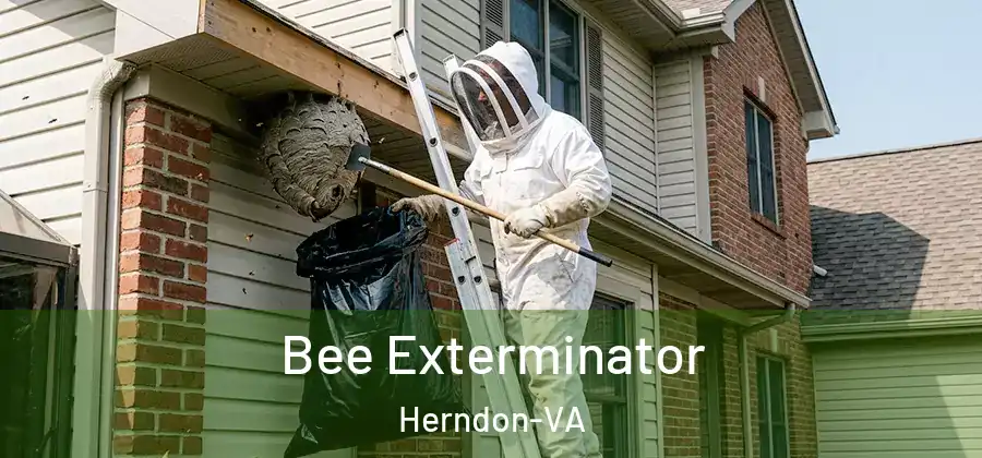  Bee Exterminator Herndon-VA