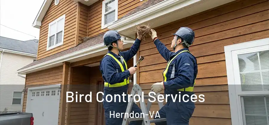  Bird Control Services Herndon-VA