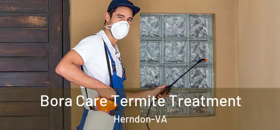 Bora Care Termite Treatment Herndon-VA