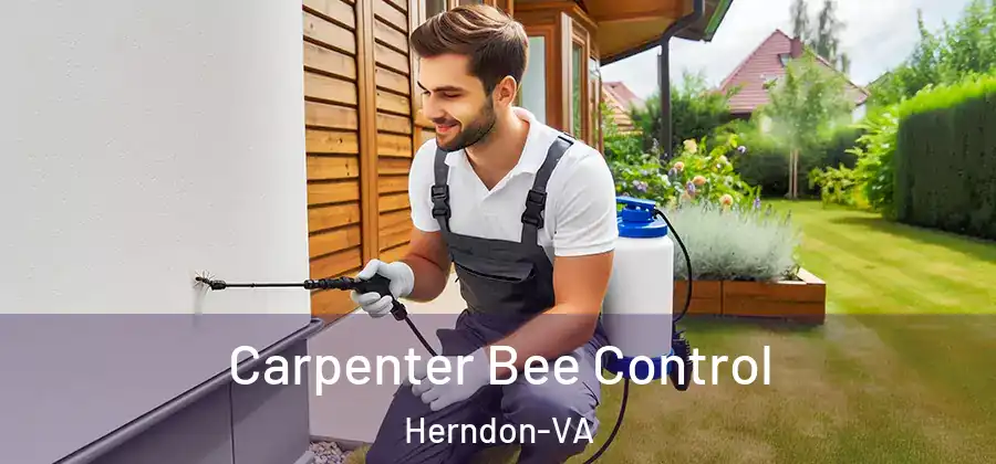  Carpenter Bee Control Herndon-VA