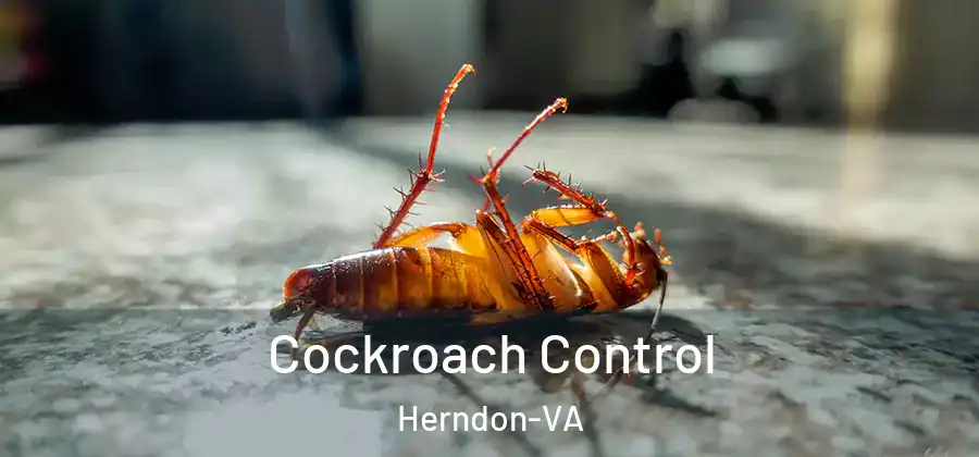 Cockroach Control Herndon-VA