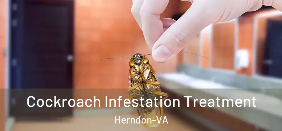  Cockroach Infestation Treatment Herndon-VA