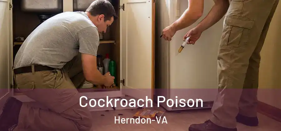  Cockroach Poison Herndon-VA