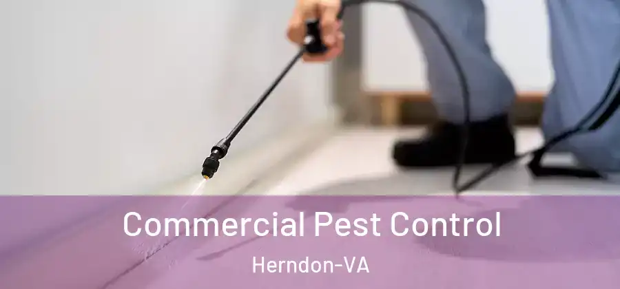  Commercial Pest Control Herndon-VA