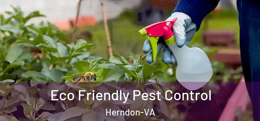  Eco Friendly Pest Control Herndon-VA