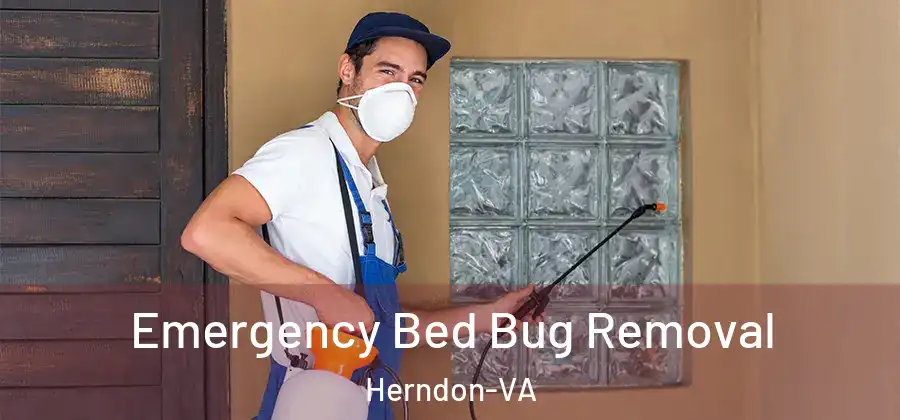 Emergency Bed Bug Removal Herndon-VA