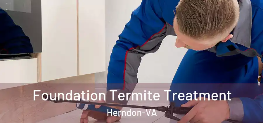 Foundation Termite Treatment Herndon-VA