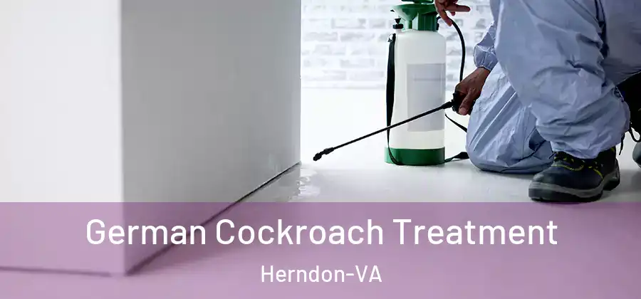  German Cockroach Treatment Herndon-VA