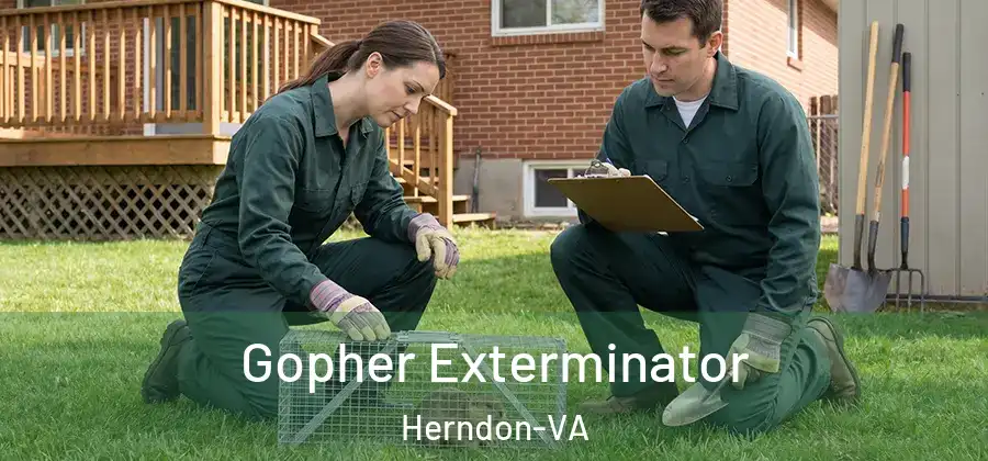  Gopher Exterminator Herndon-VA