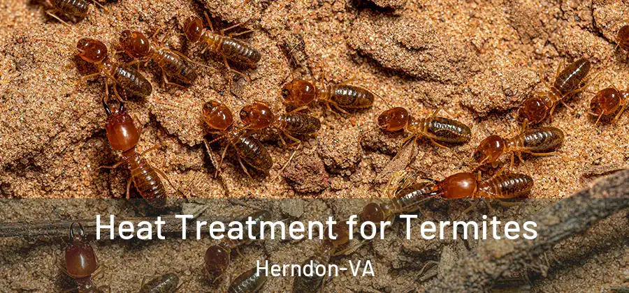  Heat Treatment for Termites Herndon-VA