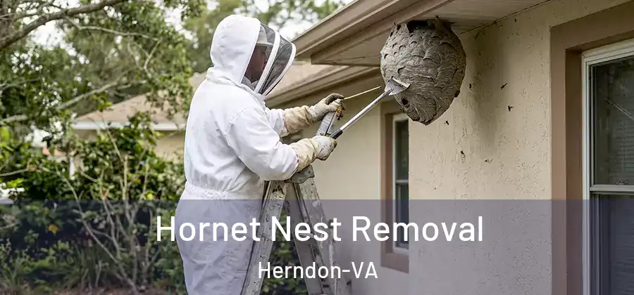  Hornet Nest Removal Herndon-VA