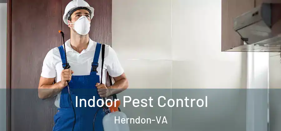  Indoor Pest Control Herndon-VA