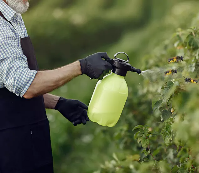 Your Carpenter Bee Service in Herndon, VA