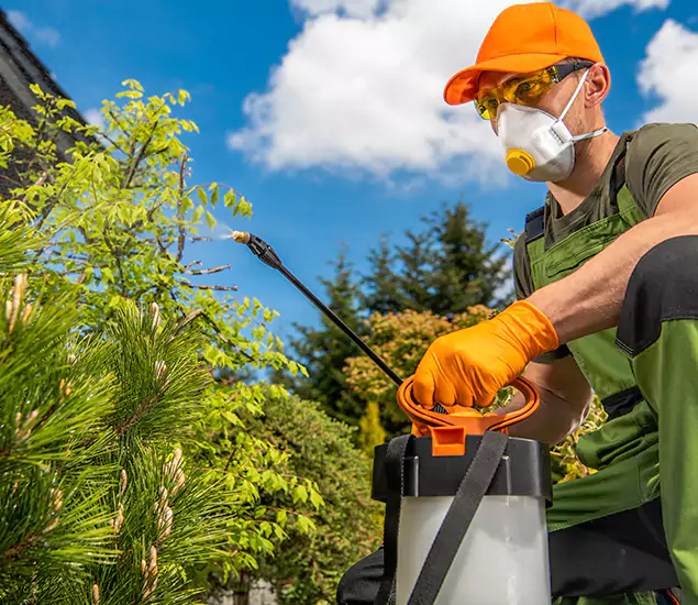 Your Best Bug Spray for Home Team in Herndon, VA