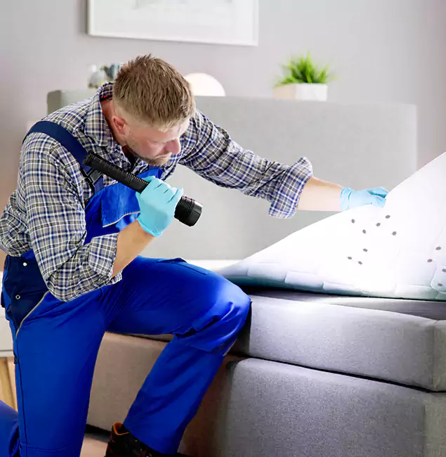 Why Choose Herndon Pest Control Pro For Bed Bug Heat Treatment in Herndon, VA?