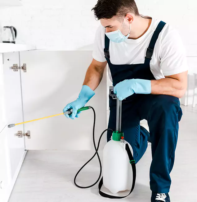 Why Herndon, VA Homeowners Trust Us for German Roach Control?