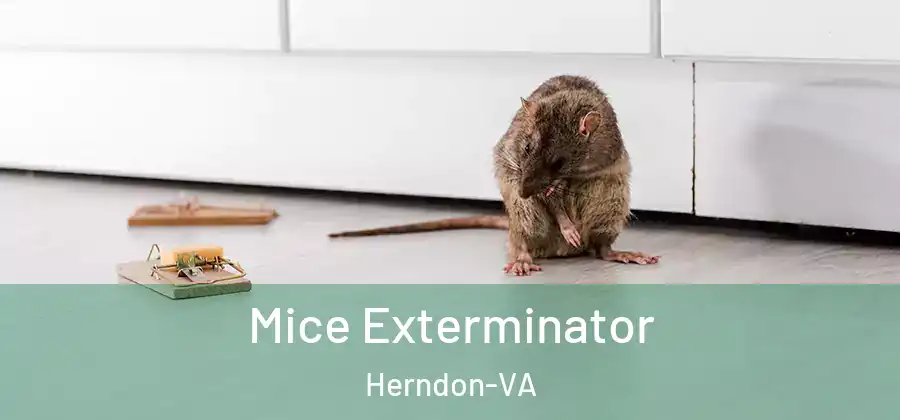  Mice Exterminator Herndon-VA