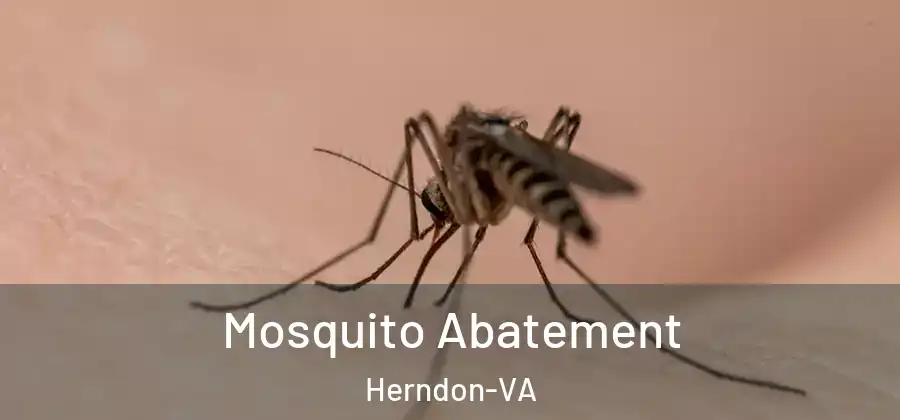  Mosquito Abatement Herndon-VA