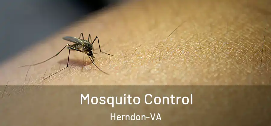  Mosquito Control Herndon-VA