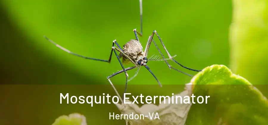  Mosquito Exterminator Herndon-VA