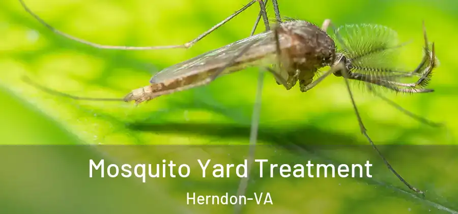 Mosquito Yard Treatment Herndon-VA