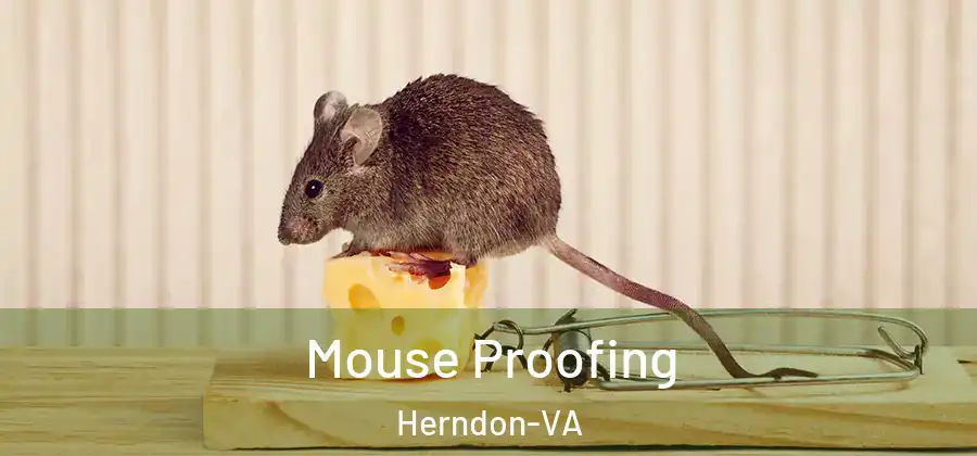 Mouse Proofing Herndon-VA