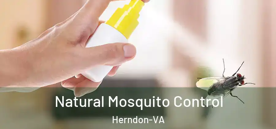  Natural Mosquito Control Herndon-VA