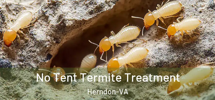 No Tent Termite Treatment Herndon-VA