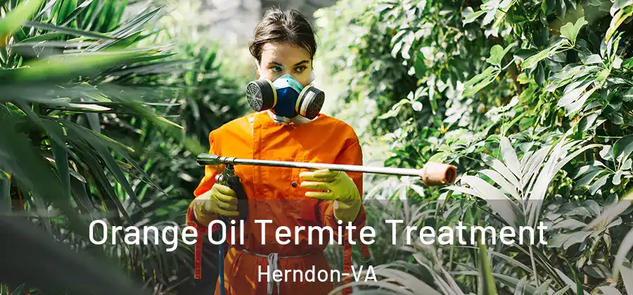  Orange Oil Termite Treatment Herndon-VA