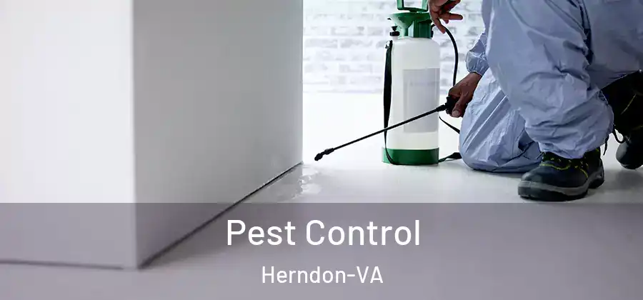  Pest Control Herndon-VA