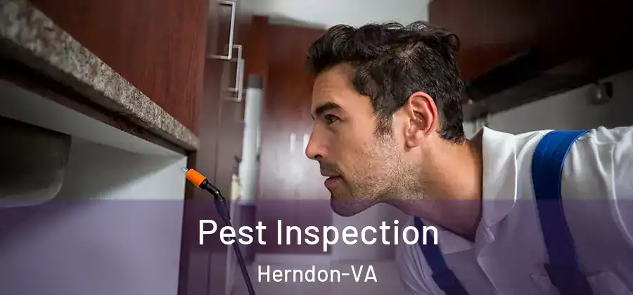  Pest Inspection Herndon-VA